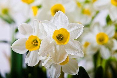 《最终幻想7：重制版》回顾视频发布 为《最终幻想7：重生》发售做准备